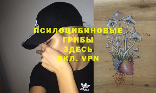 соль ск Аркадак