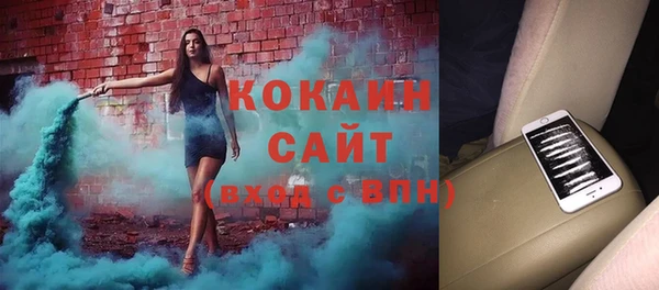 гашик Алзамай