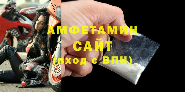 шишки Осташков